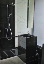 The Trizon (D10), Condominium #486913891